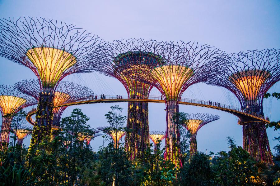 Соларните дървета на Сингапур