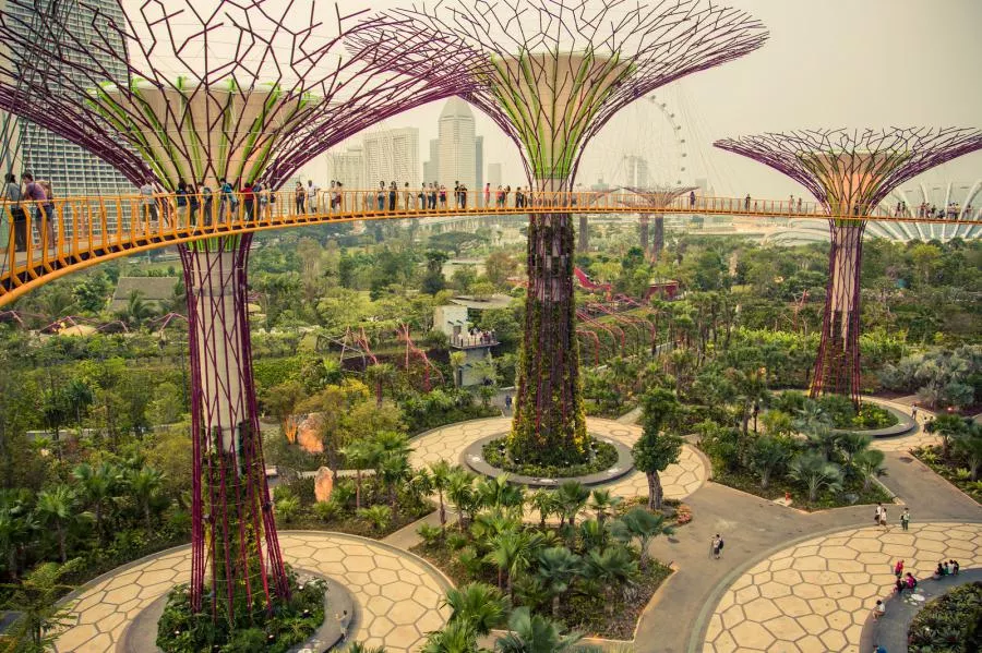 Макар и да изглеждат като картина от бъдещето, соларните дървета в Сингапур са едномилиарден проект, реализиран още през 2009 г. Източник: mymodernmet.com