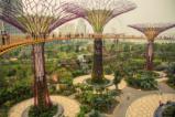 Соларните дървета на Сингапур