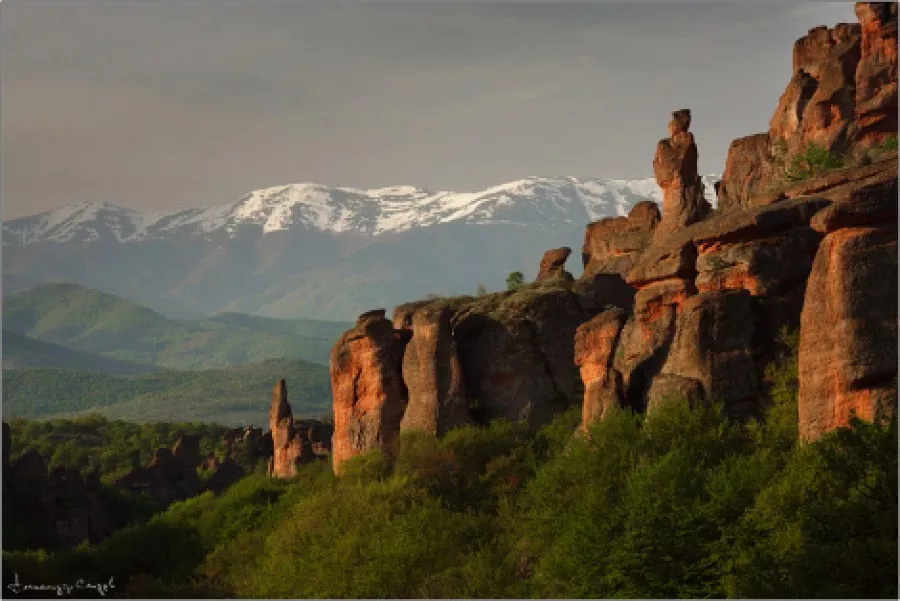 България през призмата на Александър Сандев