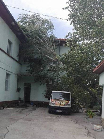 Пет дни никой в Асеновград не чисти след свирепа буря