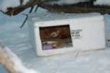 Минувач видял тази кутия в снега. Няма да повярвате какво намерил вътре...