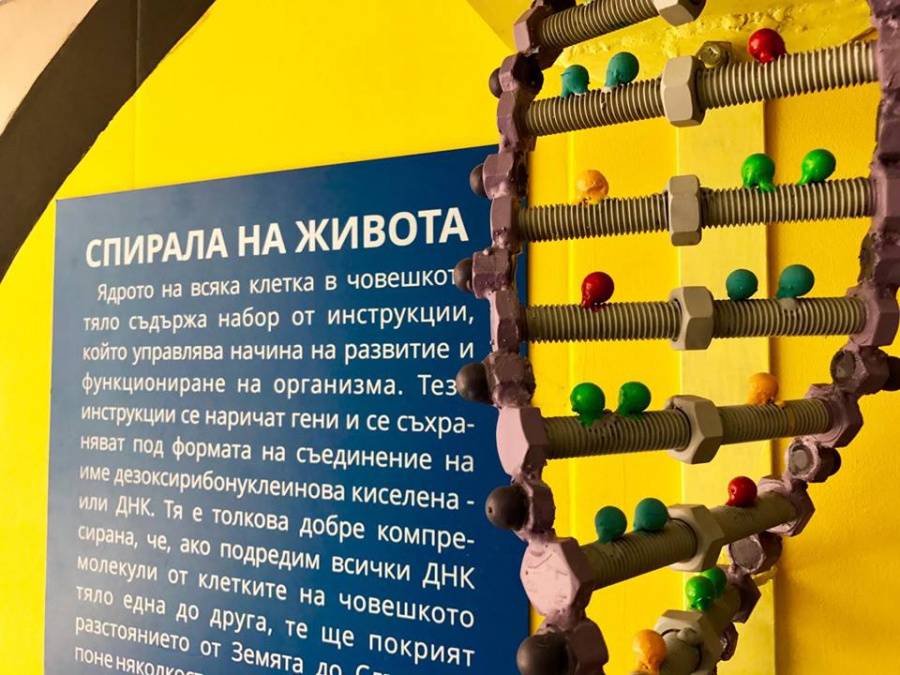 Стажантите на Виваком и ПОдЛЕЗНО откриха уникален научен подлез в София