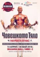 Изложба с истински човешки тела гостува в София от 14 април до 30 май