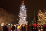 Коледната елха във Видин грейна празнично