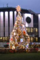 Коледна елха в София