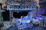 Фестивал на ледени фигури в Русе