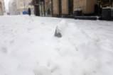Как изглежда ул. Граф Игнатиев след големия сняг