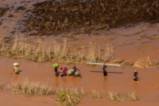 Мозамбик бедства след циклона Идай
