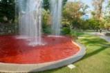 Оцветиха в червено фонтан в Докторската градина