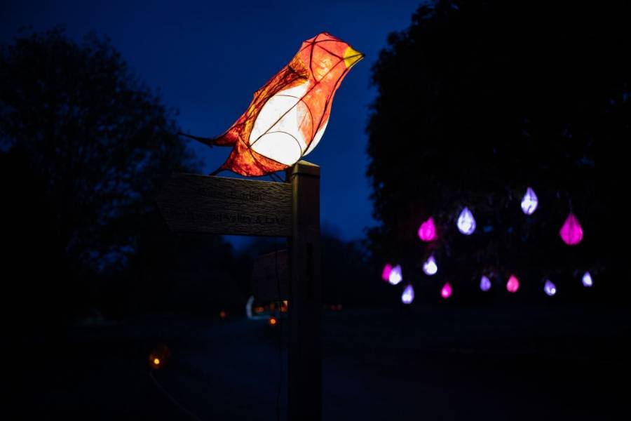 Фестивал на светлините в Haywards Heath