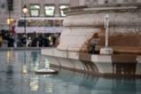 Лисица поплува във фонтан в Лондон