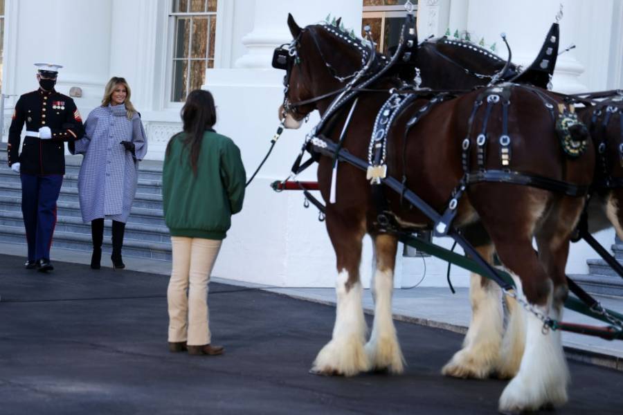Мелания Тръмп посрещна Коледното дърво в Белия дом