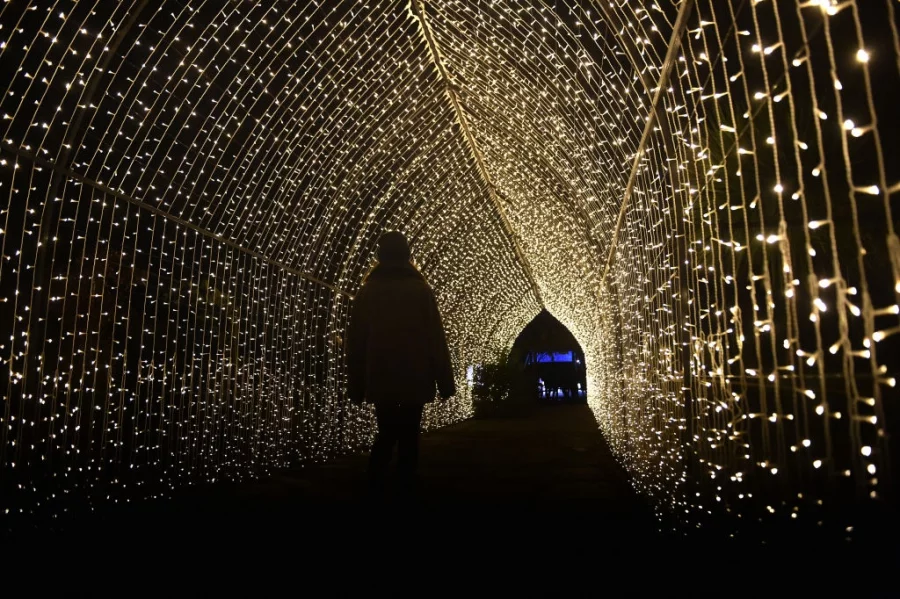 Светлинно шоу в зоологическата градина в Честър. Снимки: Getty Images/Guliver
