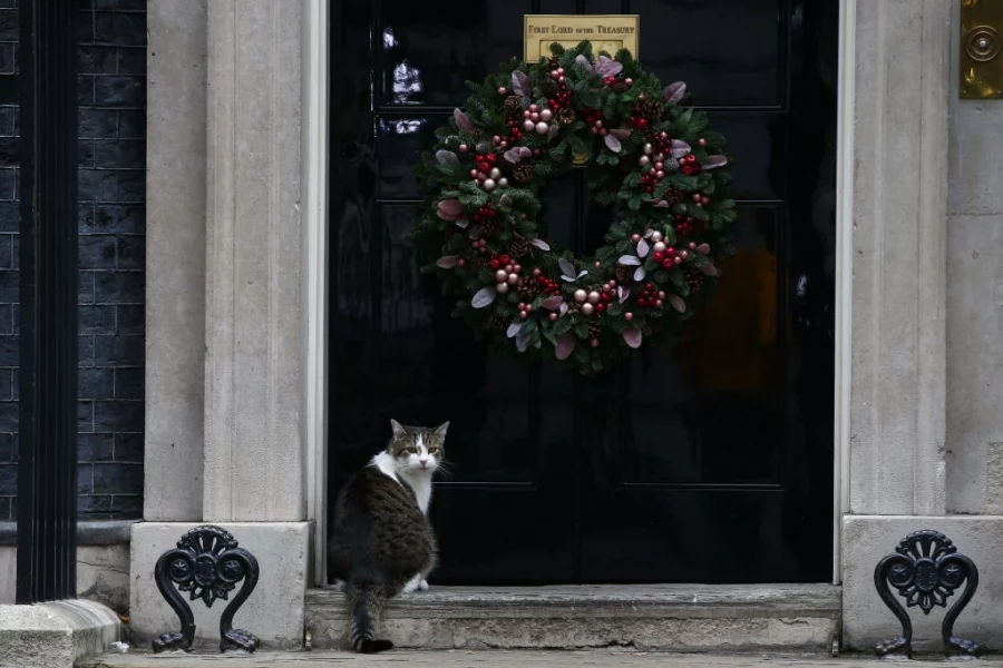 Котаракът Лари - 10 години стаж на Даунинг стрийт. Снимки: Getty Images/Guliver
