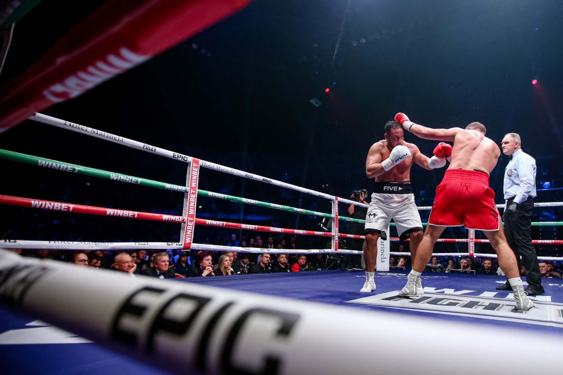 2024/12/08/0731736001733610502