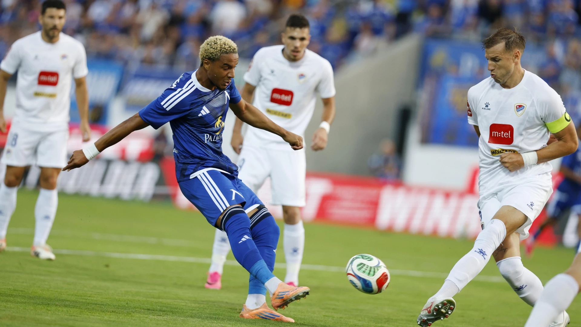 Левски Борац Баня Лука Армстронг Око-Флекс