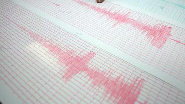 4,1 по Рихтер разтърси района на Вранча