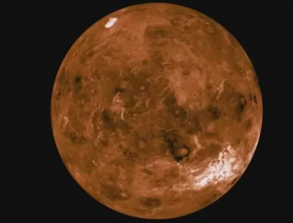 Живи същества заснети на Венера?