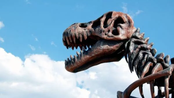 Откриха най-древните яйца на динозаври