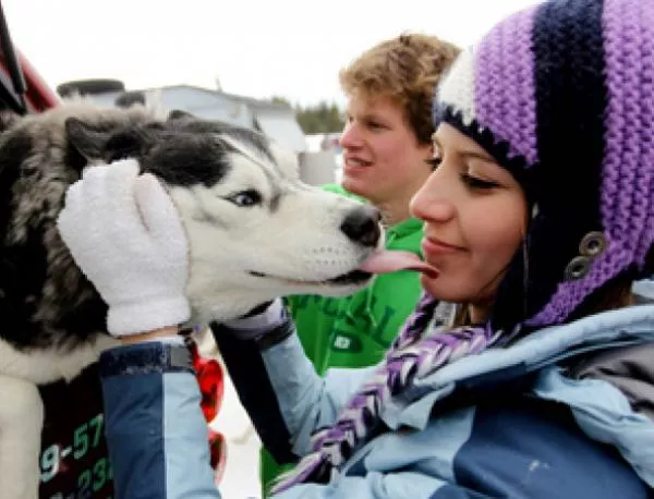 В Беларус се състоя състезание за кучешки впрягове
