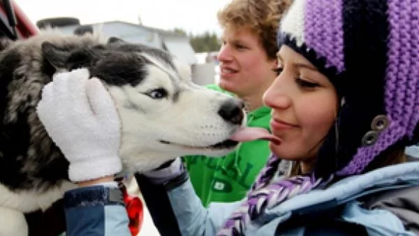 В Беларус се състоя състезание за кучешки впрягове
