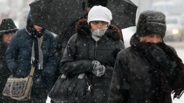 Бизнесът губи милиони заради студа
