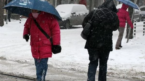 "Пирогов" се напълни с потрошени софиянци
