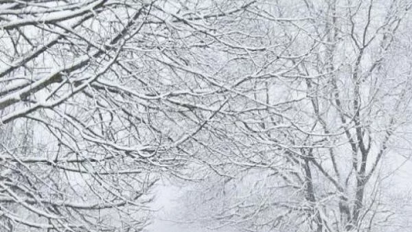 В планините е изключително опасно. Има риск от лавини!
