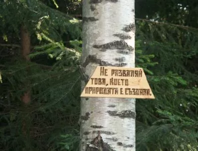 Екоактивисти излязоха на стачка срещу поправките в Закона за горите
