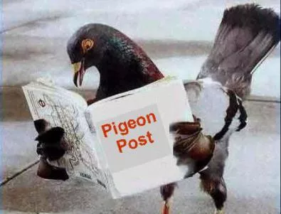 В град Хомс, Сирия общуват с пощенски гълъби