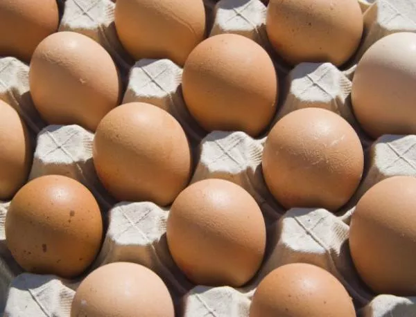 Цената на яйцата продължава да расте