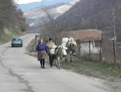 България е втора по спад на селското население в ЕС 