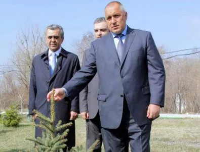 Борисов полива дървото на Първанов