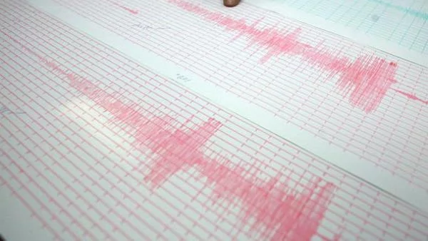 Общо 333 вторични труса  