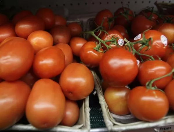 Спасяват доматите с 1,2 млн. лв.