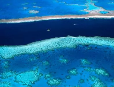 ЮНЕСКО бие тревога за Големия бариерен риф