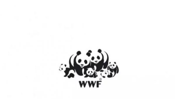 Българско училище е победител в инициатива на WWF