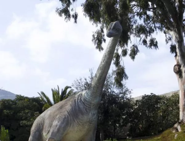 Динозаврите не са били толкова тежки