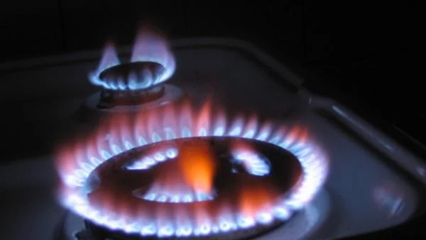 "Булгаргаз": Не е възможно намаляване на разходите при вноса на газ 