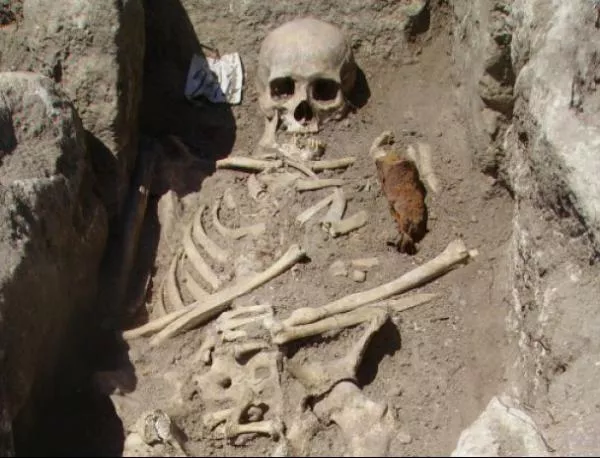 Откриха нов скелет на "вампир" 