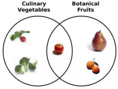Каква е разликата между плод и зеленчук?