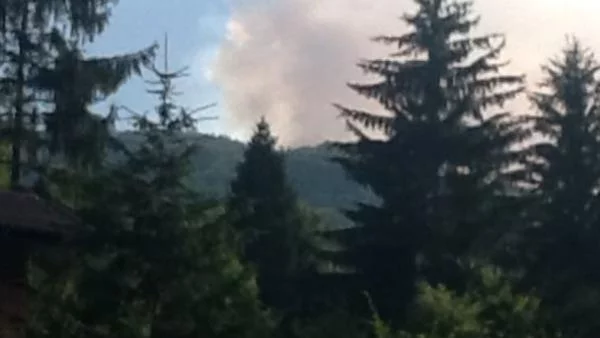 Няма опасност за хората заради пожара на Витоша  