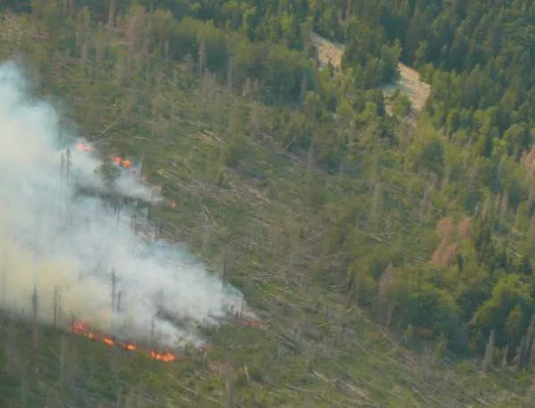 МЗХ: Няма засегната жива гора в пожара на "Бистришко бранище" 