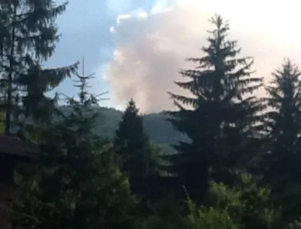 Пожарът в Елховско е овладян изцяло 