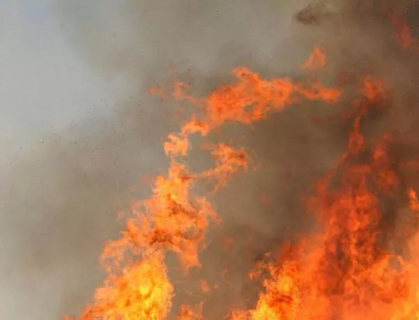 100 декара гора пламнаха край Арбанаси