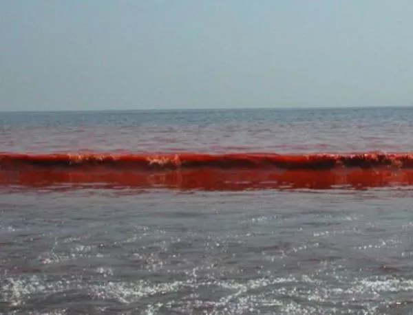 Азовско море почервеня