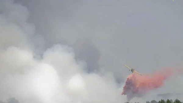Пожарът в Сакар е овладян 