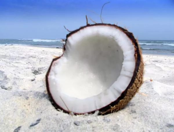 Миризмата на кокосов орех възбужда мъжете