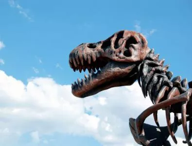 Метеорит с диаметър 5 км е унищожил динозаврите